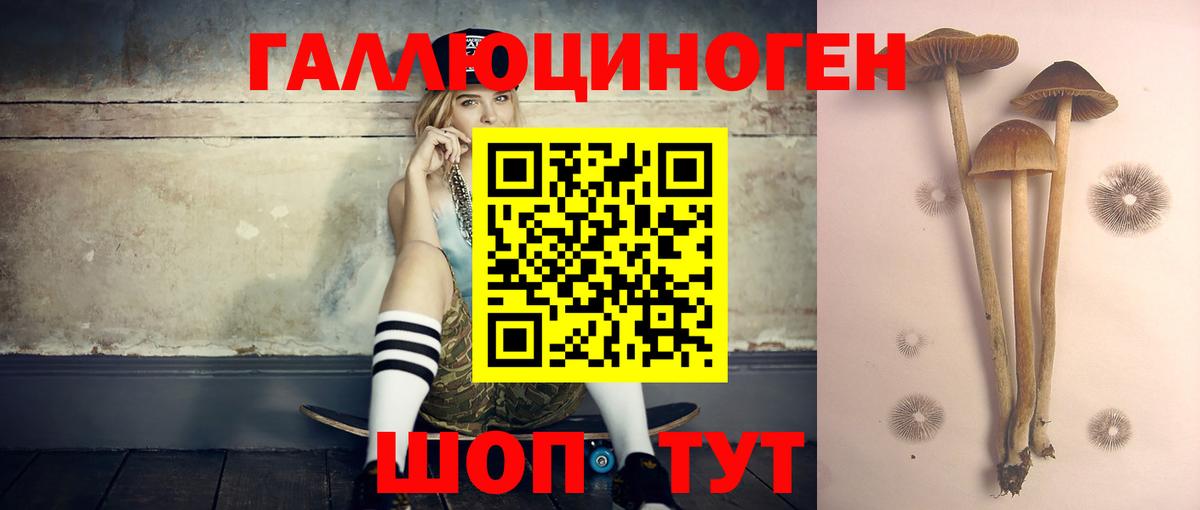 дарнет шоп  Псилоцибиновые грибы Cubensis  Каменск-Шахтинский  Вход с VPN  Галлюциногенные грибы мицелий 